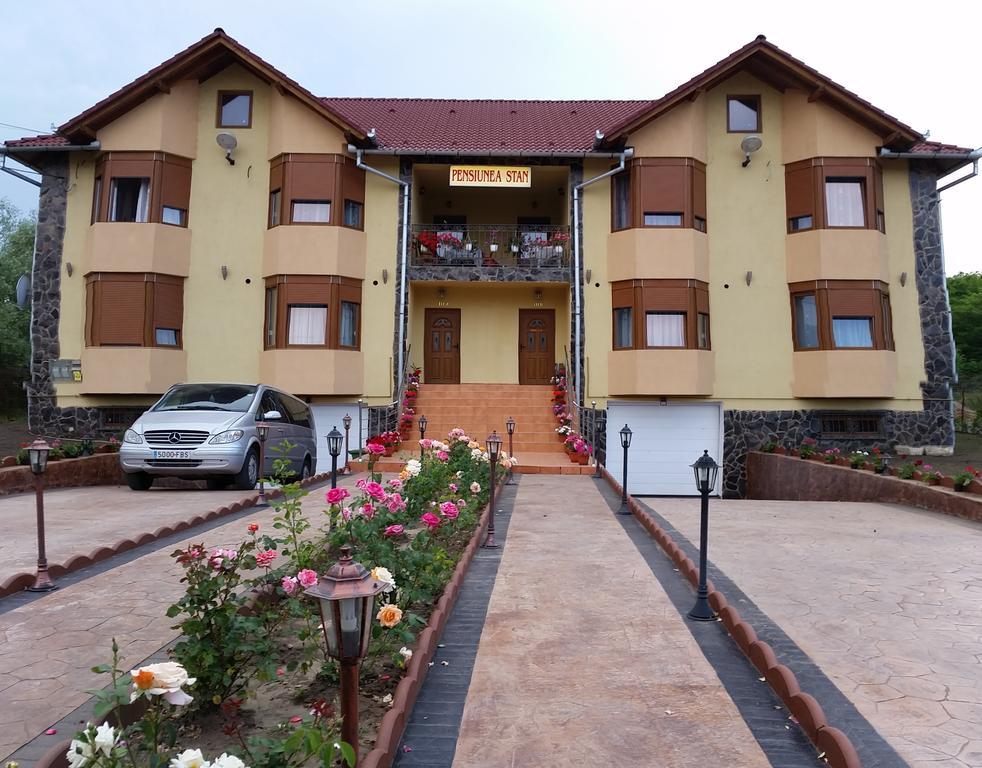 Pensiunea Stan Cisnădie Exterior foto